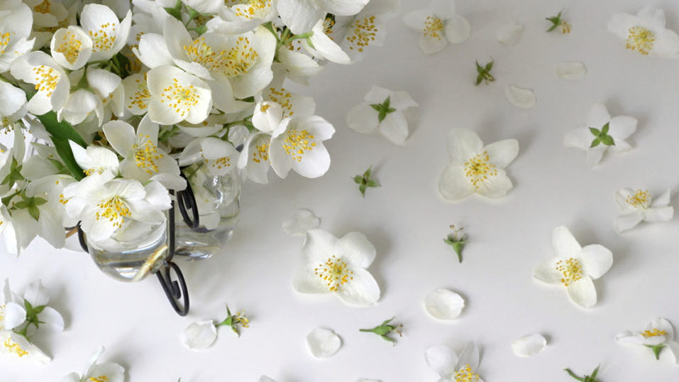 White musk: the (little known) history of the most famous clean perfume