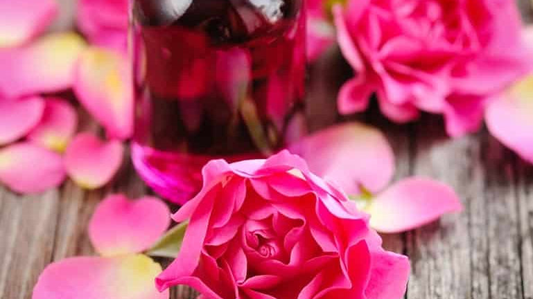 The most elegant flower of them all: The Rose