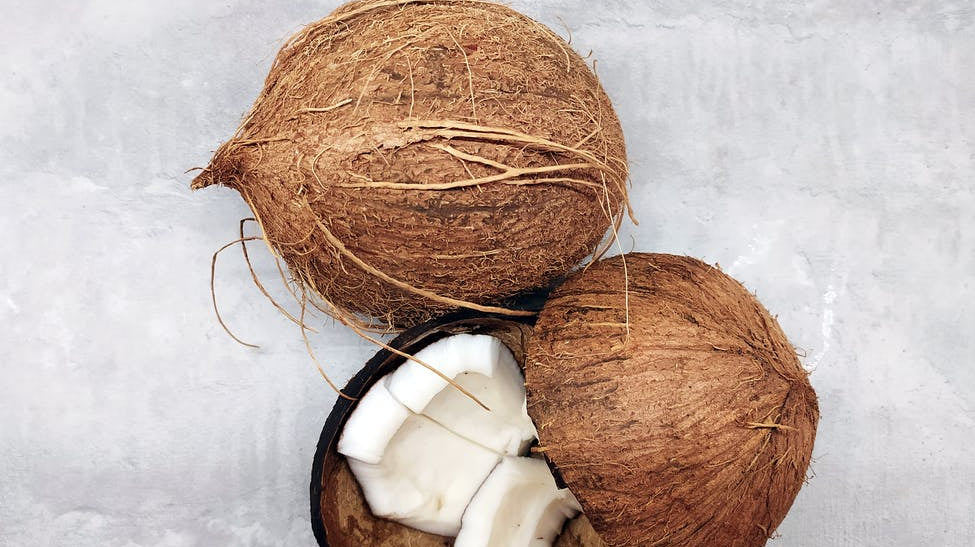 Why does the smell of coconut make us feel good?