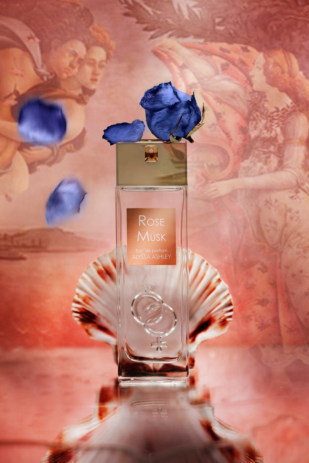 Mein Rose Moschus
