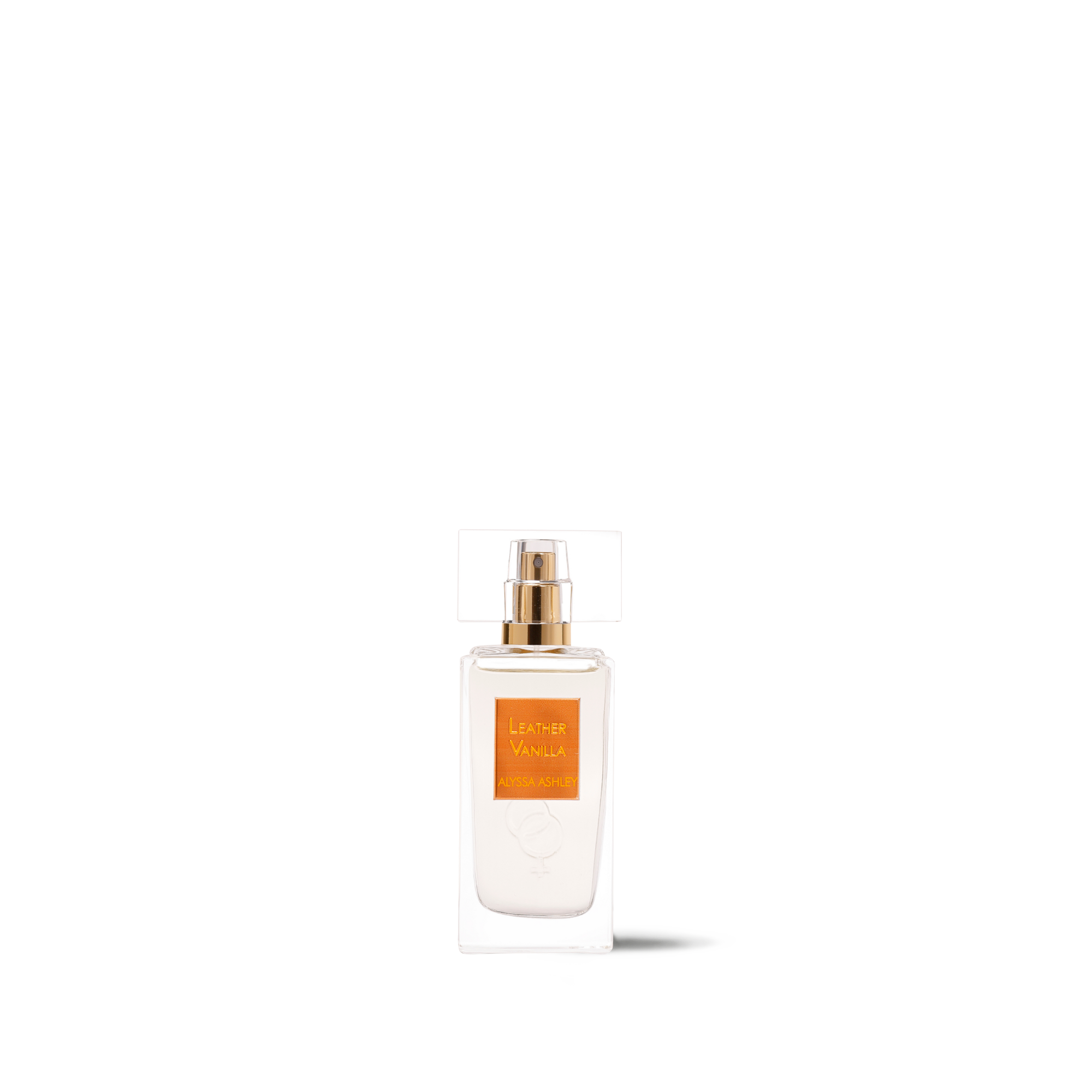 Leather Vanilla