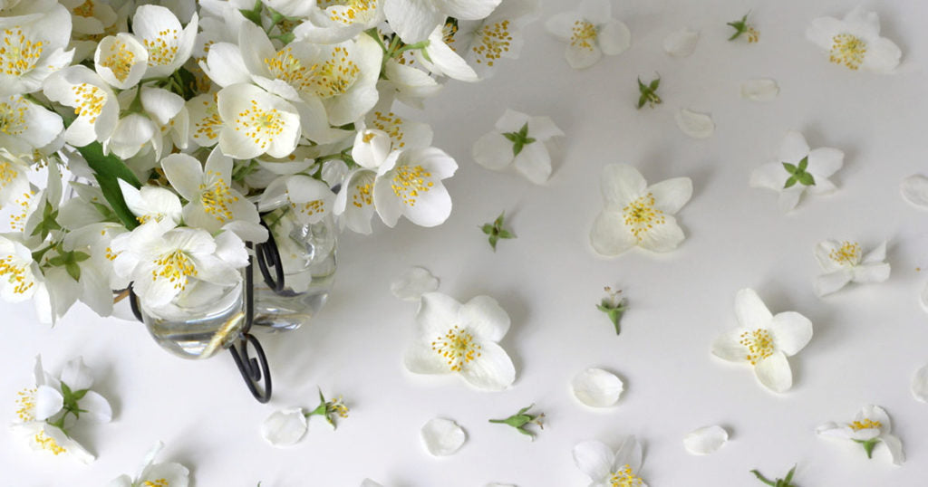 White musk history of the most famous clean perfume Alyssa Ashley