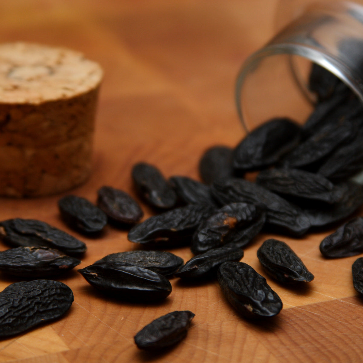 Tonka bean the origin and secrets of the plant Alyssa Ashley