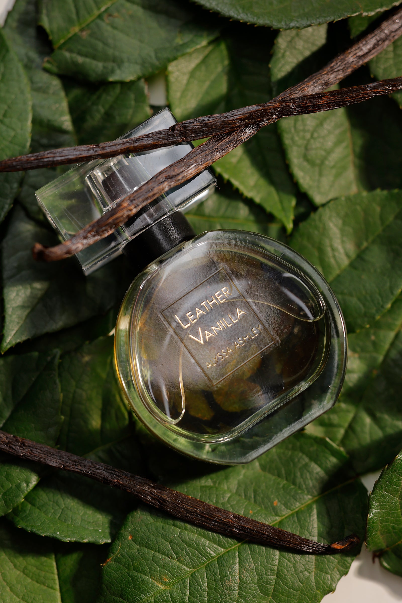 Leather Vanilla Perfume Oil | Alyssa Ashley