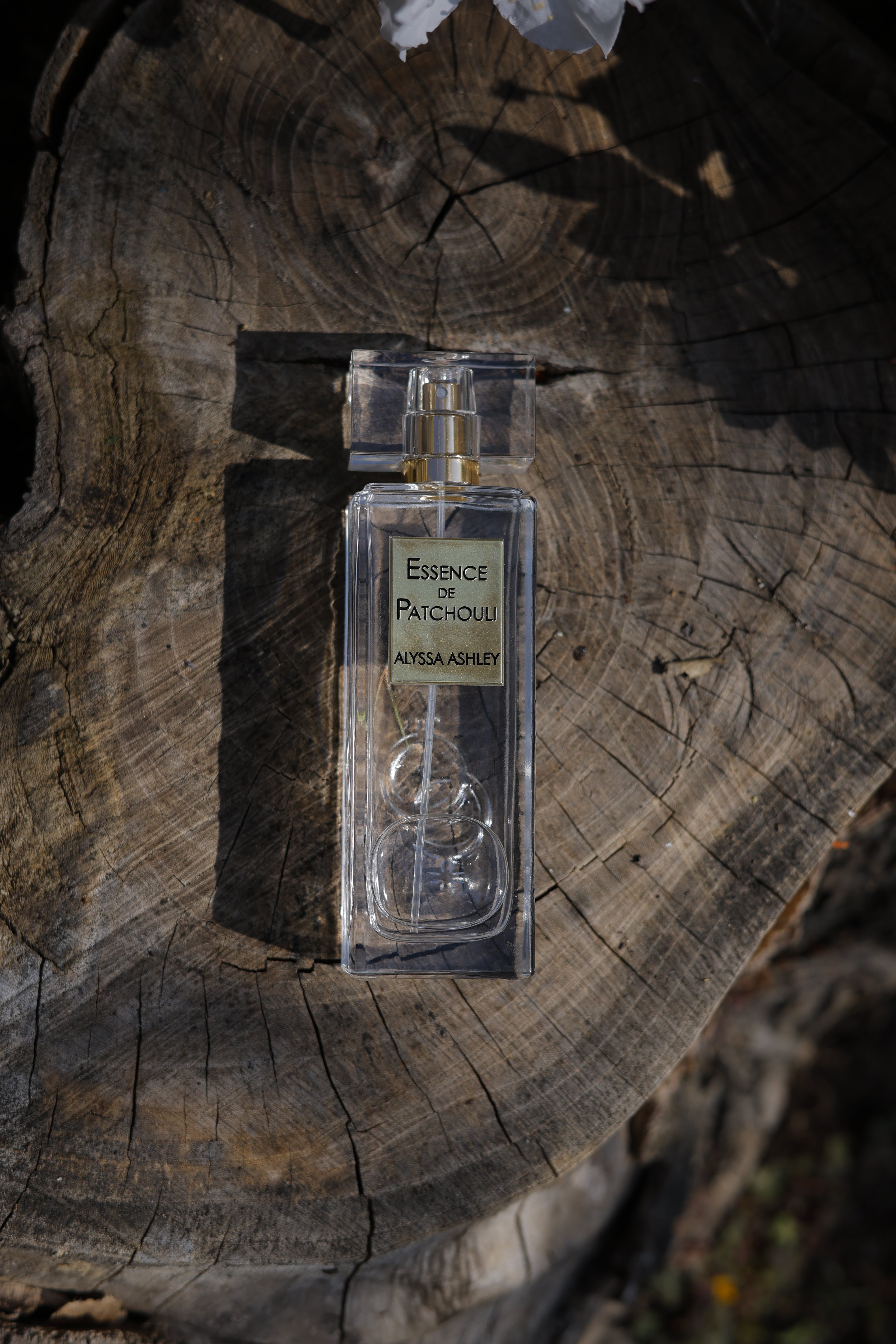 Discovery set – Alyssa Ashley