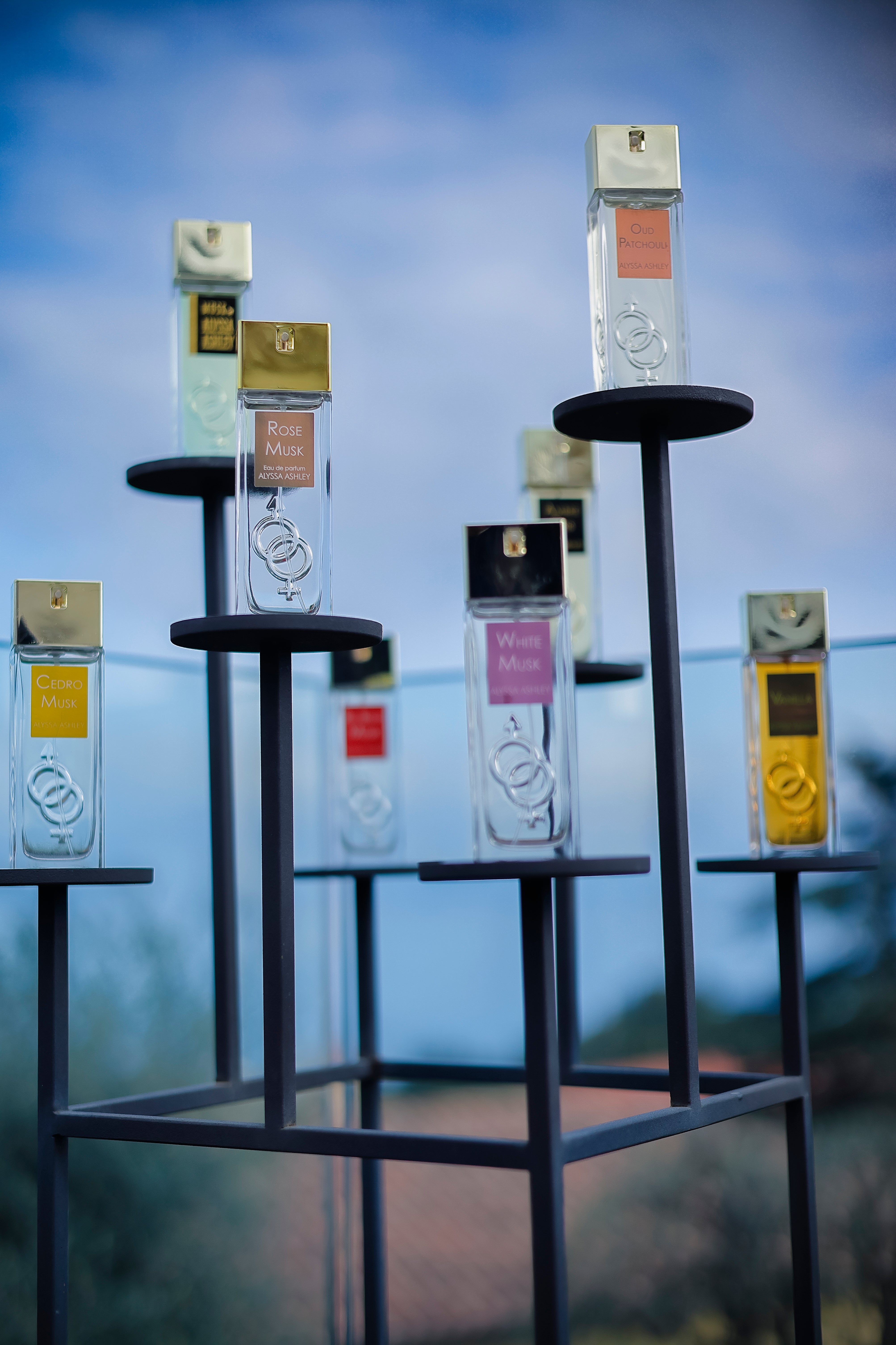 Alyssa's Exclusive Sales & Offers – Alyssa Ashley